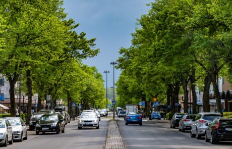 Storgatan i Tranås, kantad av grönskande träd